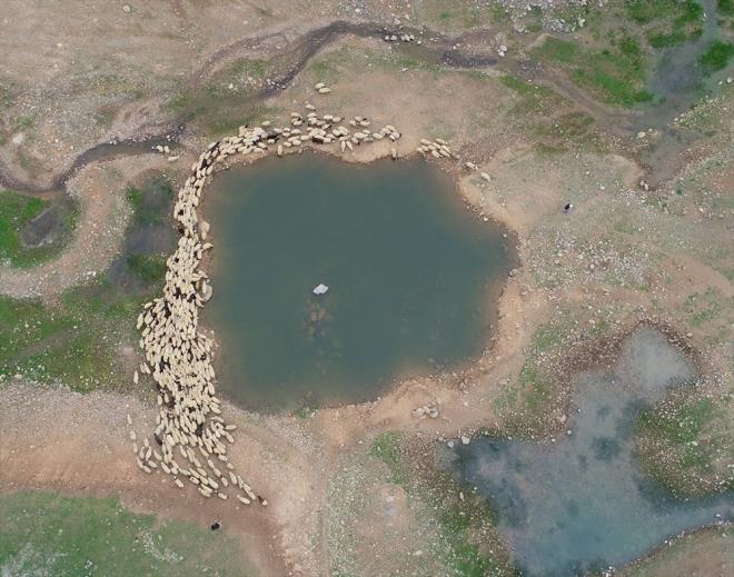 Hayvanlar iin yln farkl dnemlerinde yer deitirmek durumunda kalan ve mrleri srlerin peinde geen ger ailelerin ilkbahar yolculuu Ramazana denk geldi.