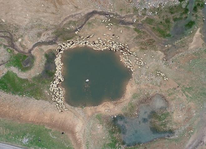 Hava scaklklarnn mevsim normallerine ulamasyla birlikte gerler hayvanlarn klakalrdan kard.Gerler, belirledikleri gzergah dorultusunda Dou Anadolu Blgesi'ndeki Bingl, Erzurum ve Mu yaylalarna zorlu yolculuklarn srdryor.