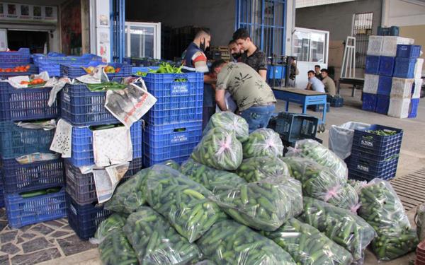 Mersin Ya Sebze ve Meyve Komisyoncular Dernei Bakan Mnir en, tam kapanma srecinde reticilerin ve komisyoncularn yaadklar skntlar anlatt. u anda ok ciddi skntlar yaadklarn vurgulayan en, ?Tam kapanma hasat zamanna denk geldii iin maalesef rettiimiz rnler u an halde kalyor, satlamyor. retici zor durumda." dedi.