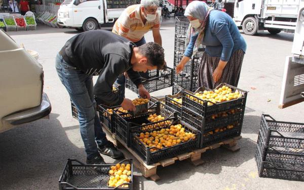Fark inanlmaz boyutlarda: Bugn halde 30-40 kurua olan salataln satlmadna iaret eden en, hal fiyatlaryla market fiyatlar arasndaki uurumu kamuoyunun gzleri nne sermek iin zincir marketlerden birer kilogram sebze aldklarn, farkn inanlmaz boyutlarda olduunu syledi.