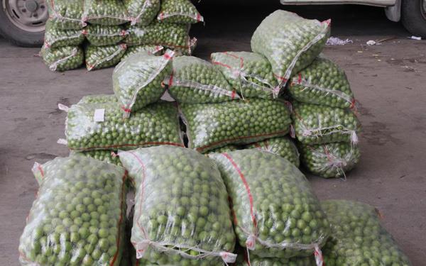 Hal fiyatlar ile market fiyatlar arasndaki uurum tketiciyi de zorlarken, ?Milli servet pe gidiyor? diyen hal komisyoncular acilen zm bulunmazsa reticinin de kendilerinin de srecin altndan kalkamayacan sylyor.