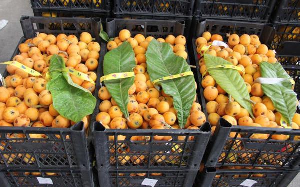 Birok sebze ve meyvede hasat dnemi olmas dolaysyla arz patlamas yaanrken, oteller ve restoranlarn kapanmas, insanlarn evden kmamas ve alverilerin sadece marketlerden yaplmas fiyatlara tavan yaptrd.