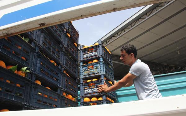 Vaka ve lm saylarnn giderek artmas zerine 17 gnlk ?tam kapanma? srecine girilirken, zellikle semt pazarlarnn kapanmasyla tarlada da halde de rnler elde kald.