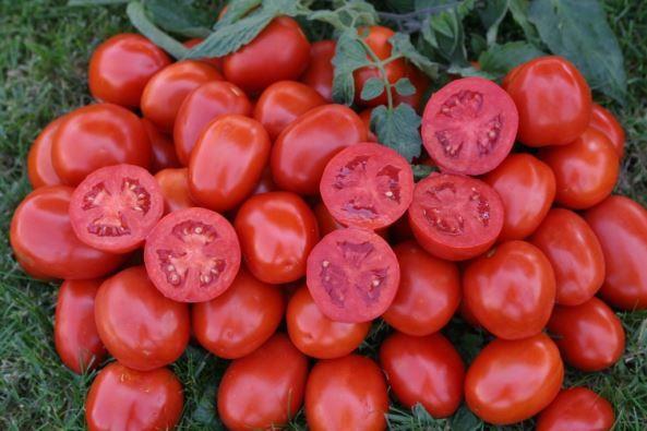 Domates: Domates, ieriindeki likopen sayesinde baklk sistemini glendirir ve dolamn yavalamasna engel olur. eriindeki yzde 95'e yakn su ile de hcreleri su kaybndan kurtarr. Ayrca domatesteki likopen miktar, piirildiinde ve paralandnda daha fazla artar. Bu nedenle yaz aylarnda domates suyu tketimi vcut sal iin olduka yararldr.