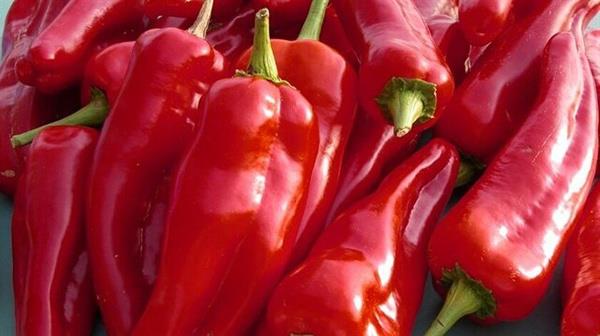 Biber: Biber, bol miktarda A ve C vitamini ierir. Yine ieriindeki su miktar, yzde 90'dan fazladr. eriindeki vitaminlerle, hcrelerin salkl almasn salar.