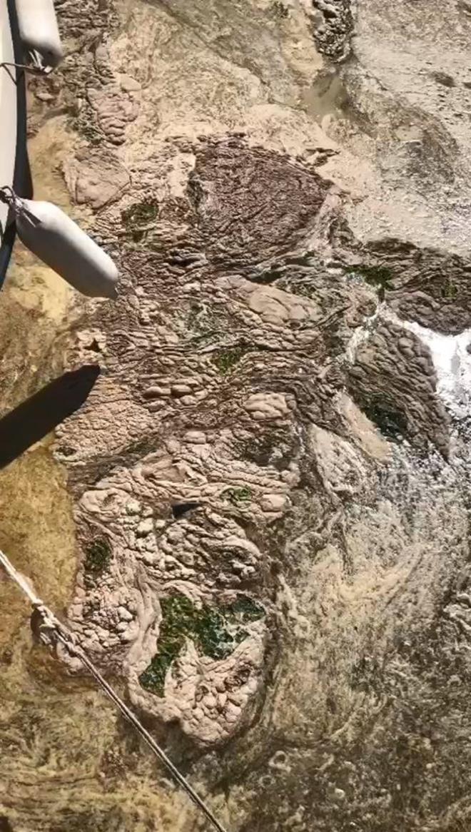 Marmara'da youn msilaj grlmesi zerine eitli testler yaptklarn belirten Ylmaz, "rnein bunlarn kimyasal, mikrobiyolojik, toksikolojik analizlerini yapyoruz. Msilaj maddesini, dier maddelerden ayrp saflatrdk. lerleyen aamalarda bunlarn biyopestisit olarak kullanlabilme zelliklerini inceleyeceiz. Bu projemizde tarmda zararl bceklere kar kullanlan kimyasallarn yerine doal ve doada bozulabilen, insanlara ve evreye zarar vermeyen yeni maddenin gelimesi hedefleniyor. Msilaj da burada kullanacaz. Ayrca topraa katarak da verimini artrmaya alacaz? dedi.