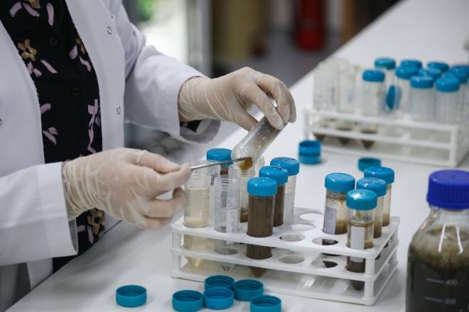 Bursa Teknik niversitesi (BT) Mhendislik ve Doa Bilimleri Fakltesi Biyomhendislik Blm retim yesi Prof. Dr. Mete Ylmaz, deniz salyasnn kayna olan mikro alglerin ekonomiye kazandrlmas iin laboratuvarlar almalarna hz kazandrd.