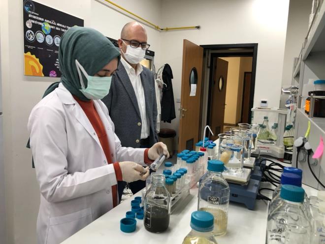 "ZEL HASAT MAKNELER GEREKYOR"  Deniz salyasn toplamak iin sistem zerinde altklarn belirten Prof. Dr. Ylmaz, ?Doadan toplanmas ve yararl bir rne dntrlmesi  iin bir zel hasat makineleri gerekiyor. eitli mhendislik birimleriyle birlikte msilaj ve mikroalglerin hasadn gerekletirebileceimiz sistemler tasarlama konusunda irtibat halindeyiz. Bunlarn toplanp hem evreye zarar vermeleri nleniyor hem de bunlarn bir rne dntrlmesi hedefleniyor? diye konutu.