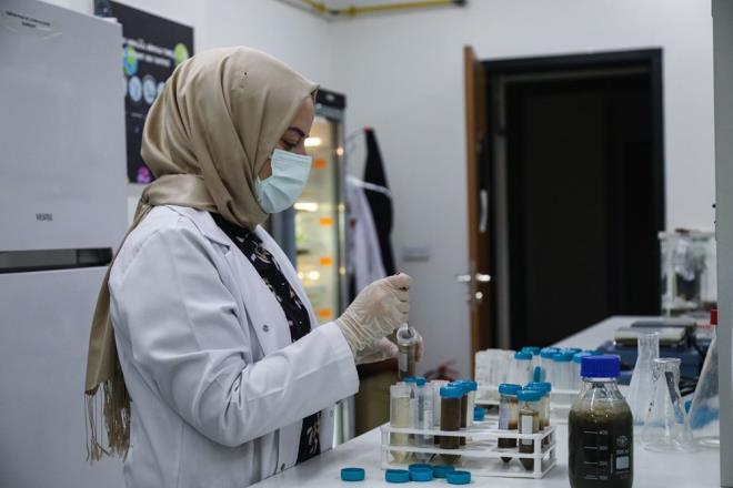 Laboratuvar sonularna gre gelitirilecek deniz salyasnn gbre, tarm ilac ve temizlik malzemesi olarak kullanlmas hedefleniyor.