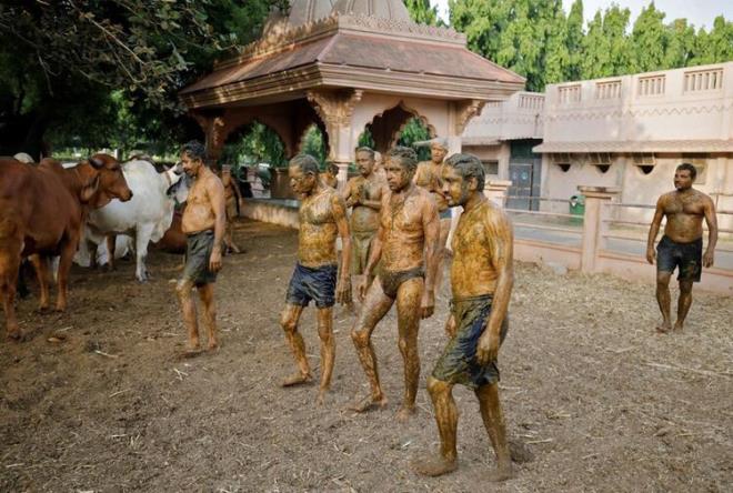 Son dnemde krd vaka rekorlar ve l says ile gndemden dmeyen Hindistan'dan olduka ilgin bir haber geldi.