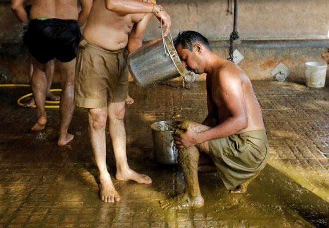 Pandemi nedeniyle salk sisteminin kme noktasna geldii Hindistan'da halk areyi vcutlarna inek dks srmekte buldu.