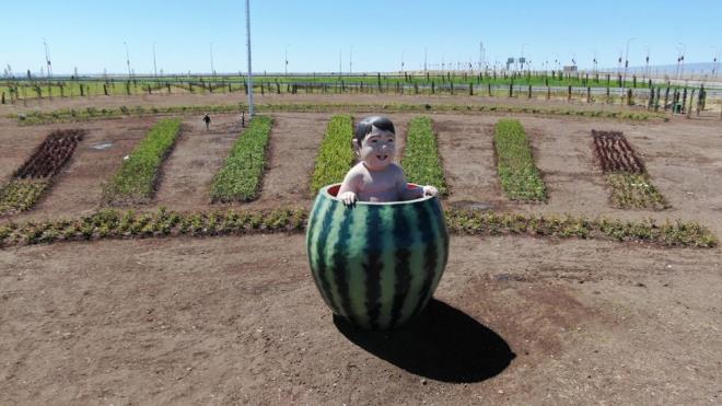 Aklamann tam metni:     ?Baz basn yayn organlar ve sosyal medya hesaplarnn gndeme tad, havaliman kava peyzaj dzenlemeleri kapsamnda alana yerletirilen maketlerle ilgili kamuoyunu bilgilendirme gerei duyulmutur.    Havaliman Yonca Kava?na yeni dzenlemeler kapsamnda yerletirilen maketlerle ilgili estetik eletiriler yaplmtr. Bu eletiriler saygyla karlanmakta ve deerlendirilmektedir. 170 dnmlk alan iinde, fotoraf detay olmak zere yerletirilen maketler, almalar tamamlandnda, manzarann kk bir paras olacaktr.    almalarn tamamlanmas ile birlikte nihai deerlendirme yaplacak, gerekmesi durumunda zerlerinde tasarrufta bulunulacaktr..."