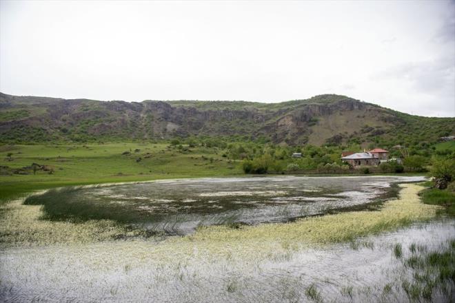 "TURSTLER KAFLELER HALNDE YREY ZYARET EDYOR"    Slkl Gl'n birok hayvana yaam alan sunduunu anlatan Doan, yle konutu:    "Kurbaalar, rdekler ve leylekler var. Btn canllar biz burada grebiliyoruz. Hayvanlara karmadmz iin evcillemiler ve bizlerle i ie yayorlar. Yerli ve yabanc turistler kafileler halinde gelip gl ziyaret ediyor ve fotoraf ekimi yapyorlar. Kymz, sahip olduu bu gl sayesinde ok beeni gryor. Btn doa severler gelsin, gl grsn ve gezsin ama doamz kirletmeyelim. p atmayalm. Doamz temiz tutalm"