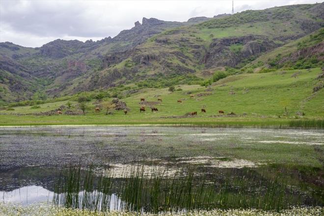 leye bal Yukar Oyumca kynde yer alan Slkl Gl de karlarn erimesiyle birlikte evresinde yetien yemyeil ayrlar ve iek trleriyle ilgi ekici manzaralar sergiliyor.    Mazgirt Dalar eteindeki yer alt sularyla beslenen ve kn yzeyi tamamen donan gl, sazlk alanlar ve barndrd canl trleriyle kentin en nemli doal sistemini oluturuyor.