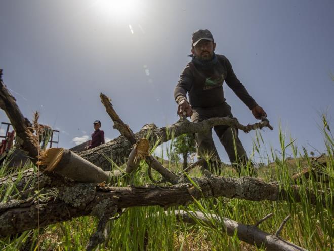 "HER YERMZ KMR KARASI OLUYOR"  Mardin Mazda ilesinden ailesiyle gelen 24 yandaki Vedat Yalanc 12 yldr mangal kmr retiminde altn syledi.