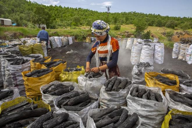 Aalarn arasnda bulunmann gzel olduunu anlatan Delek, "Ailemizden kimse corona virs olmad, bu bizim iin avantaj. Dn annem ve babam burada olmad iin sabaha kadar nbet tuttuk. Erkek kardeimiz yok, 7 kz kardeiz. Erkek ocuklarnn yapt ileri yapyoruz. Akam olunca ablamlarla ay yapp, sohbet ediyoruz" ifadelerini kulland.