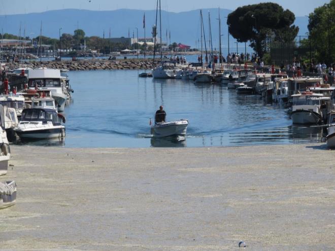 Marmara Denizi'nde son zamanlarda ska grlen deniz salyas Kurbaldere'yi yine kaplad.