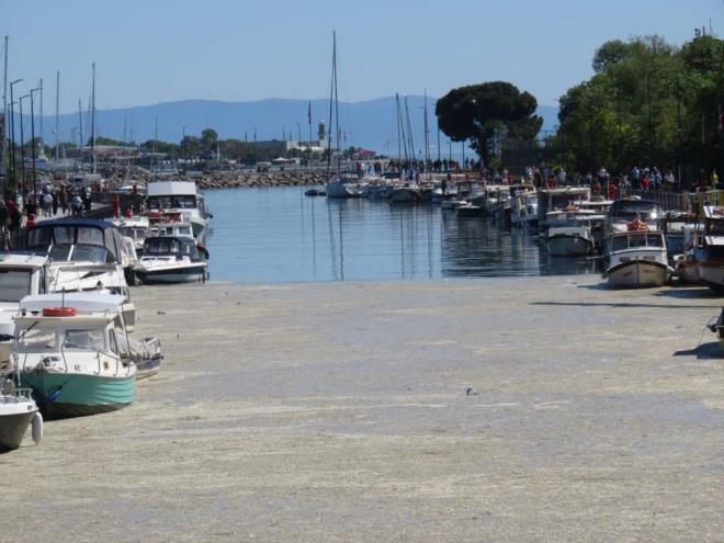 Kurbaaldere'yi getiimiz gnlerde de deniz salyas sarmt.