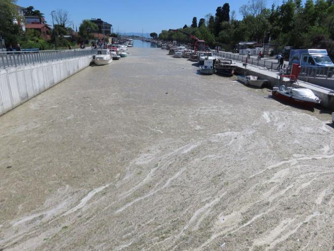 Beton dklm gibi tabaka oluturan salya teknelerin bulunduu ksmda younlat.