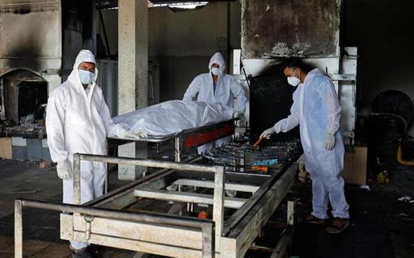 Bu durum virs tayan cesetlerden hayvanlara hastalk tayabilecei iin lkede korku yaratyor. Cesetler Ganj Nehri'nde ilk grld gnlerde yetkililer aresi kalarak cesetleri toplayabilmek iin nehre a atmaya balamt.