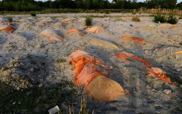 Koronavirs tad bilinen hayvanlardan olan kpekler de ska nehir kysnda ekilen fotoraflara yansyor. Hindistan eyaletlerinin yetkilileri bu byk soruna zm bulmaya alsa da durum tehlike arz etmeye devam ediyor.