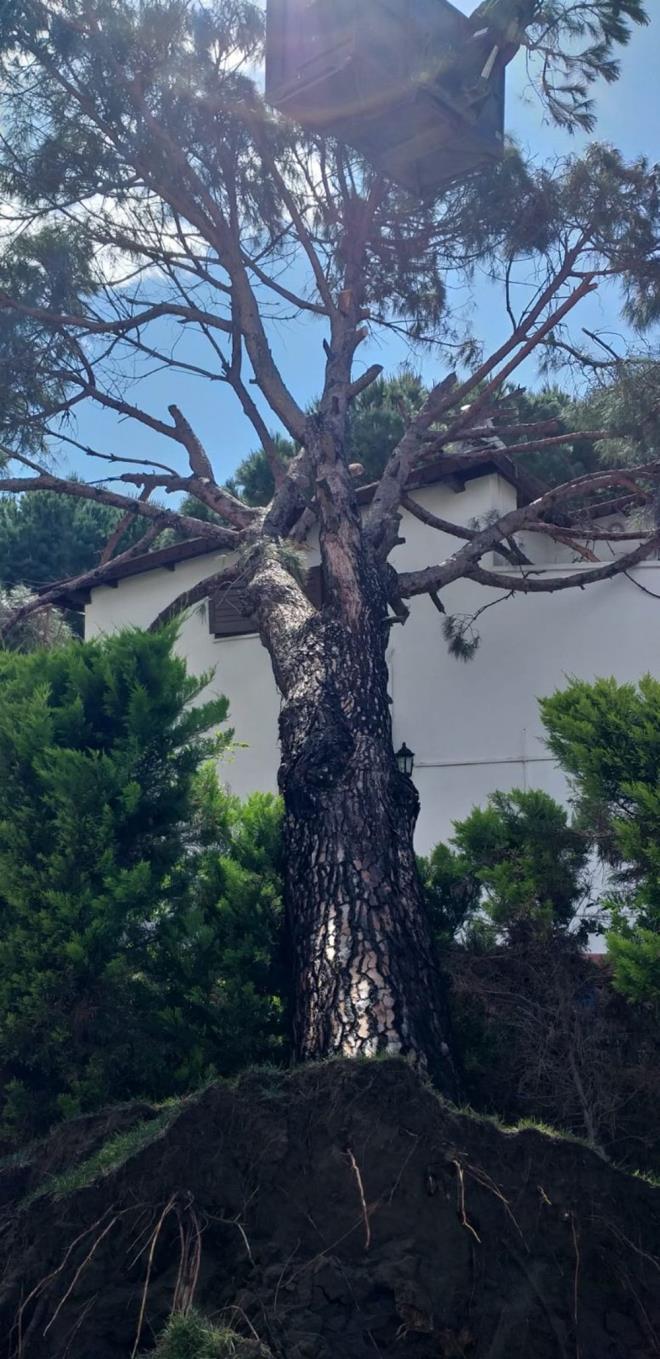 HASAR TESPT ALIMALARI SRYOR  Valilikten yaplan yazl aklamada u ifadelere yer verildi:    ''Ayvalk ilemizde 21 Mays 2021 Cuma gn saat 06.00 sralarnda balayan frtna nedeniyle, ile merkezi, Cunda Adas, Sarmsakl ve Altnova mahallelerinde hasar meydana gelmitir. Kyda bulunan baz balk tekneleri ve tur tekneleri batm, baz tekneler paralanm, baz binalarn atlarnda ve pencerelerinde hasar olumutur. Ayrca aalarda devrilme ve dallarnda krlma meydana gelmitir.