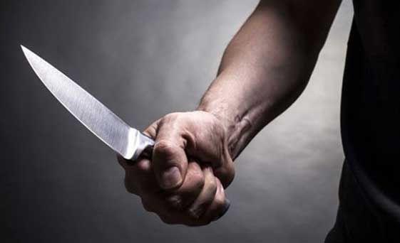 Anne Palabyk'n bir komusuna da kznn kendisini ldreceinden phelendiini syledii renildi.