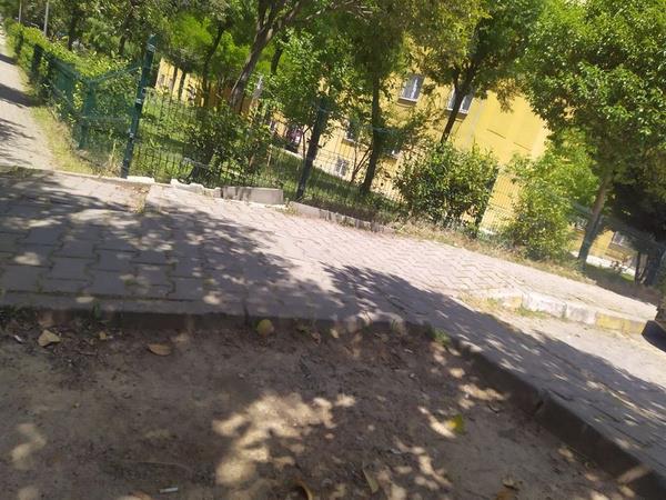 Annenin ikayeti zerine Tue S. hakknda uzaklatrma karar verildi. Ancak eve dnen Tue S., annesini satrla ldrd.