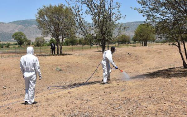 "ekirgeler henz tam umadan nce ilalama yaptk. Eer kanatlanp umaya balasalard, mcadelemiz daha da zor olacak ve belki de ok zarar vereceklerdi"