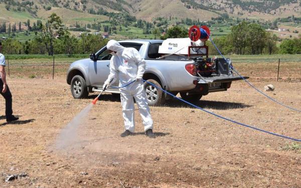 Bayrak, szlerini yle noktalad: Bizler de ekiplerimizle birlikte gelerek ilalamamz yaparak daha tarlalara girmeden nlemlerimizi aldk. Ya olmadndan dolay ekirgelerin yeil alanlara doru ilerlemesi balad.