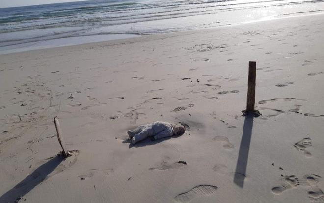 Avrupa snrlarnda yaanan g krizi yine bir insanlk dramna sahne oldu. Akdeniz'de gmen tekneleri batt. Umuda yolculuk iin teknede olan ocuklarn cansz bedenleri sahillere vurdu.