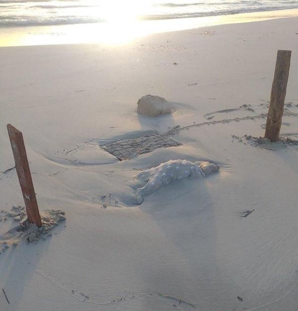 Dnyay oke eden fotoraflar...   <br>  Oscar Camps tarafndan Libya'nn Zuwara sahilinde ekilen bu grntler ksa srede sosyal medyann gndemine oturdu.