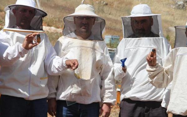 2020 yl sonunda GAP Kalknma daresine Bakanlna Adyaman Sert Kabuklu Meyveler Aratrma Enstits tarafndan sunulan Salk in Ar Zehri isimli proje kabul edildi.