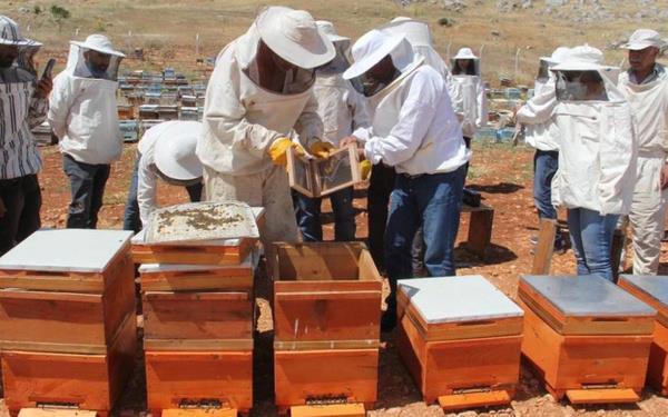 Ar reticisi Zeynel Kizir ise bundan, bal retiminin yannda ar zehri reteceklerini belirterek, ?Bundan sonra ar zehri reteceiz. Muaffak olursak inallah, ar zehri, ar st, ar ekmei, polen, propolis, bunlara da geeceiz. Yetkililer bize ok byk destek veriyor. nallah bizde onlarn emeini boa kartmayz? ifadelerini kulland.
