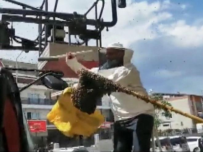 Blgeye gelen ekipler acil giriin at ksmnda oul veren arlar toplamak iin harekete geti.