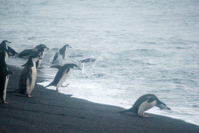 YZYILIN SONUNDA 2,4 DERECELK SICAKLIK ARTII BEKLENYOR  te yandan, WWF'nin CEO'su Tanya Steele, raporun gelecek kasm aynda skoya?nn Glasgow kentinde yaplacak olan BM iklim mzakerelerinde (Cop26) sunulacan syledi. ngiltere, ABD ve AB de dahil olmak zere birok lke, 2030 ylna kadar emisyonlarda byk kesintiler vaat etti. Ancak, tahminlere gre sz konusu devletler taahhtlerini gerekletirse bile yzyln sonunda 2,4 derecelik bir art gerekleecek.