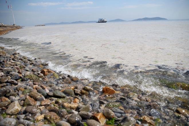 Bozolu, "zellikle Marmara Denizi'nde yaanan olayda yosunlar iin denizin iindeki canllar iin besin kayna olan ve bizim iin kirletici madde olan azot ve fosfor miktarnn youn bir ekilde artmasyla birlikte msilaj miktar da artmaya balad" dedi.