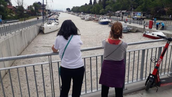 Marmara Denizi kylarn kaplayan msilaj (deniz salyas) stanbul'da da son gnlerde younluunu artyor.