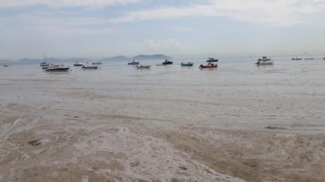 Toplanan deniz salyalarnn atk toplama tesislerine gtrld renildi.