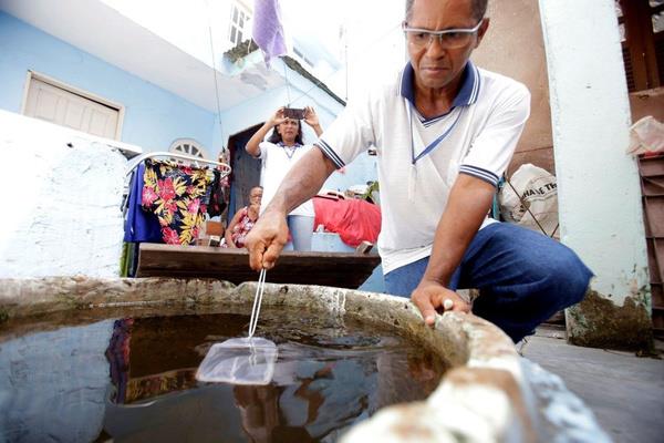 Konuya ilikin yaplan aklamada, ?Bu ok heyecan verici bir durum ve sonular umduumuzdan daha iyi" dedi. Teknik o kadar baarl oldu ki sivrisinekler tm ehre yayld ve proje blgedeki dang hummasn yok etmek amacyla evredeki blgelere tanyor.