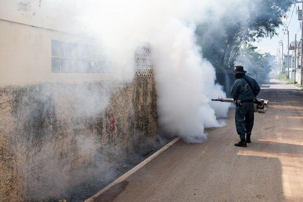 Denemede Wolbachia ile enfekte olmu be milyon sivrisinek yumurtas kullanld Yumurtalar iki haftada bir ehirdeki su kovalarna yerletirildi ve enfekte bir sivrisinek poplasyonu oluturma sreci dokuz ay srd.