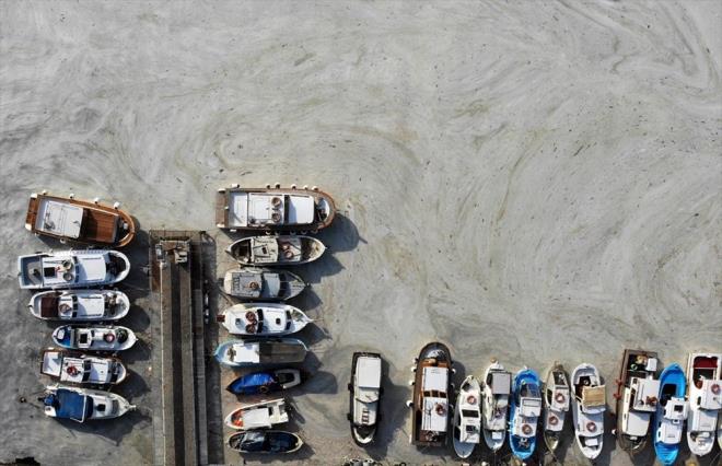 Rzgarla yn deitiren msilaj, leden sonra Kordon Boyu kylarnda art gsterdi.