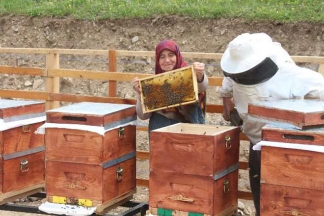 "CORAF ARET ALDI"  <br>  Yaylada toplam retim miktarnn 5 ton civarnda olduunu syleyen Civelek, "Anzer bal corafi iaret ald" dedi.