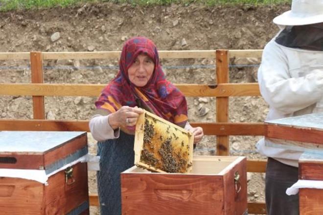 zellikle kkba hayvan otlak alannn belirlenmesi gerekiyor. Kkba hayvanclkta kstlama yaparak bununda sonularn grm olduk.