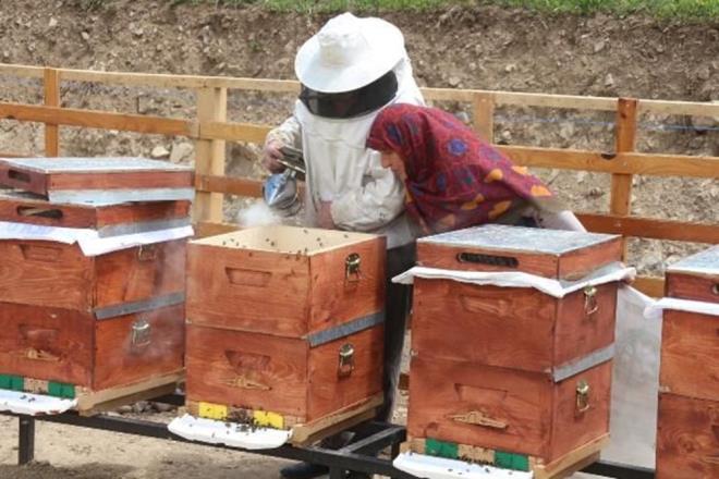 Bal reticisi Mustafa Lezgiolu, ?Dededen beri arclk yapyorum. Anzer Yaylas?nda 50 kovanm var. Balmz ok kymetli. Anzer bal sadece burada retilir. Arclk zor i burada Anzer?in banda hem aylardan arlar korumaya alyoruz hem de retimini artrmaya alyoruz? dedi.