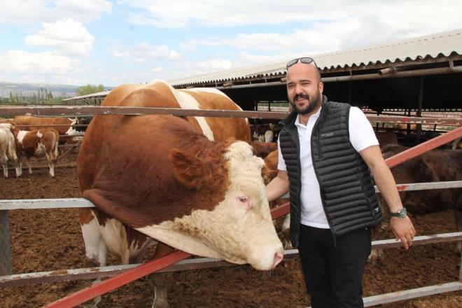 3.5 yandaki kurbanla hem iftlik sahibi hem de alanlar zel olarak ilgilenerek bakmn yapyor.