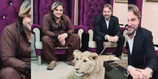 Pakistan?da da olduka beenilen Dzyatan, Pakistanl Blue World City irketi ile anlam, projelerin marka elisi olmutu.