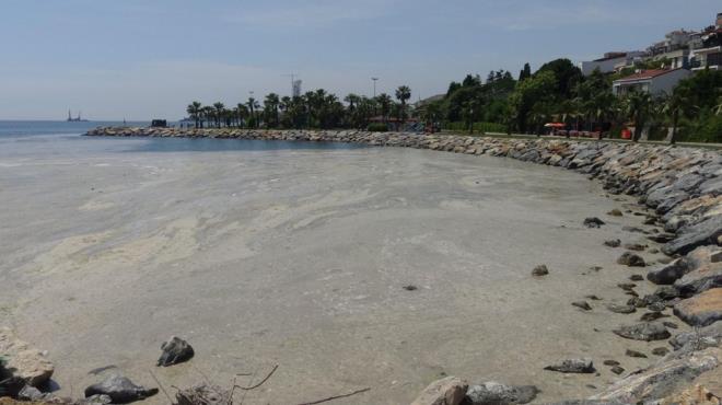 Darca Bayramolu sahilinde ise sudan numuneler alnd, kacak sonulara gre karar verilecei belirtildi.