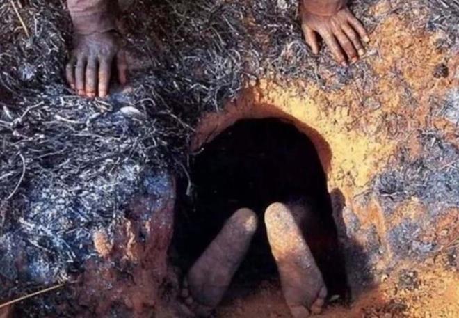 Dev piton ylan yuvasna giren Afrika yerlisinin dev ylan ile yz yze geliinin ve onu yakalamasnn fotoraflar grenleri artyor.