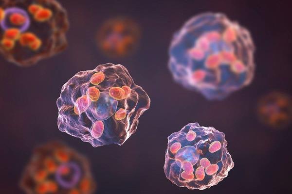 National Library of Medicine dergisinde yaynlanan aratrmaya gre, dnya genelindeki klim deiiklii zararl trlerin giderek daha fazla artmasna neden oluyor.